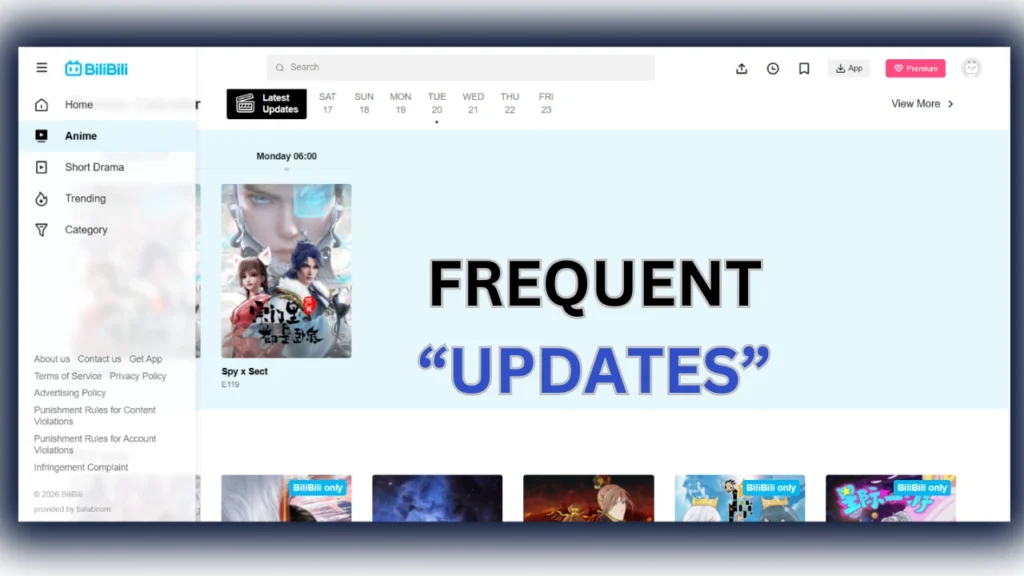 Key Features of Bilibili APK