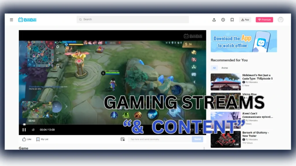 Key Features of Bilibili APK