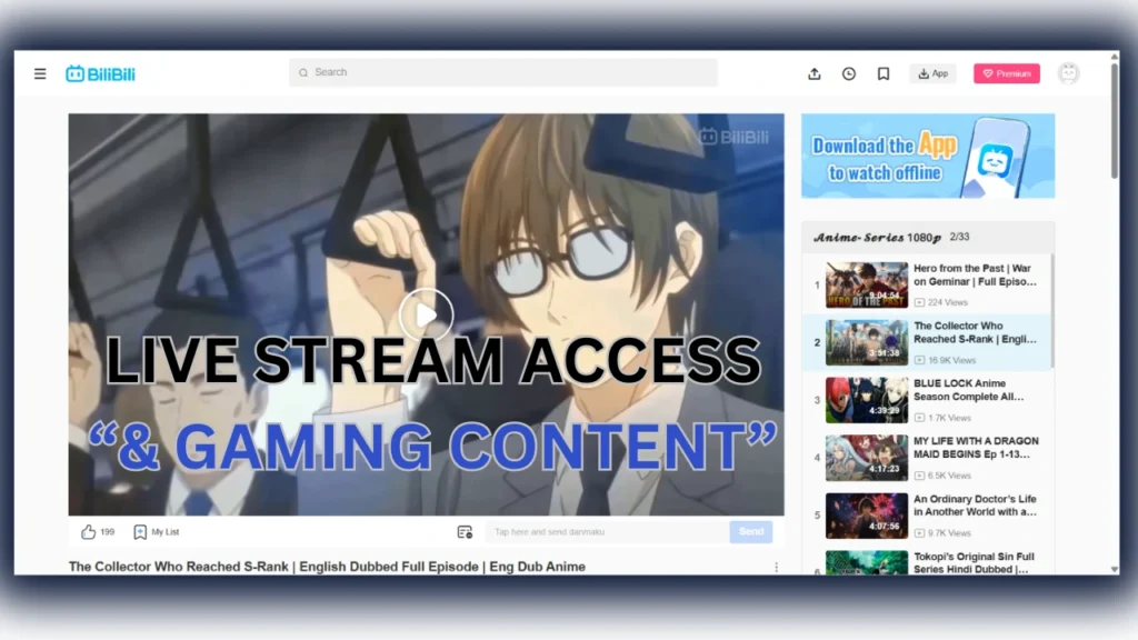 Key Features of Bilibili APK