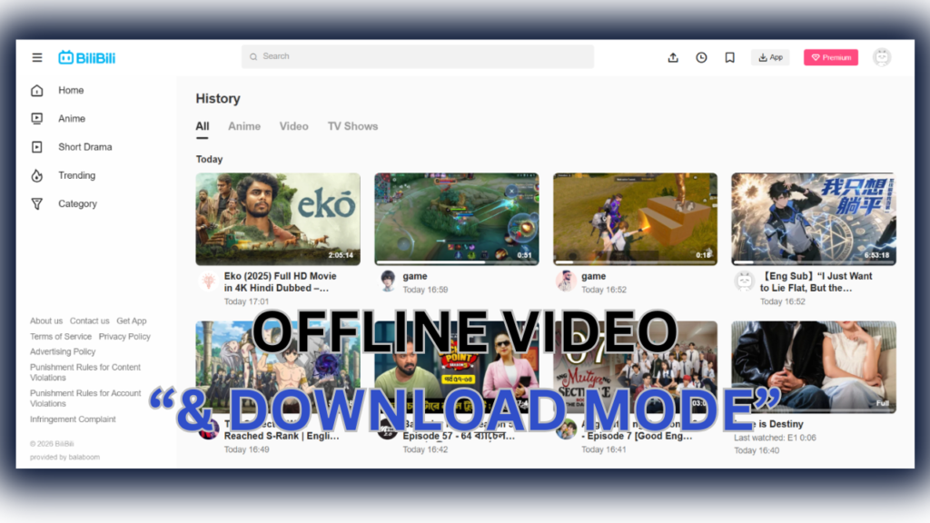 Key Features of Bilibili APK